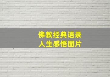 佛教经典语录 人生感悟图片